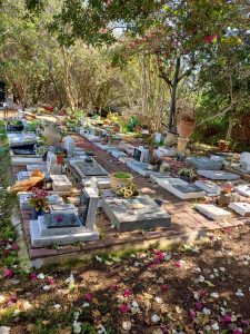 WhatsApp Image 2025-12-31 at 22.17.10