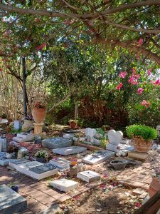 WhatsApp Image 2025-12-31 at 22.17.57