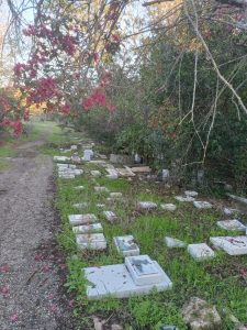 WhatsApp Image 2025-12-31 at 22.23.28